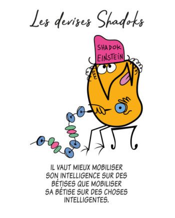 T-shirt Les Shadoks : Mobiliser sa bêtise