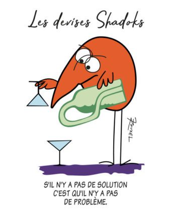 T-shirt Les Shadoks l'art de résoudre les problèmes
